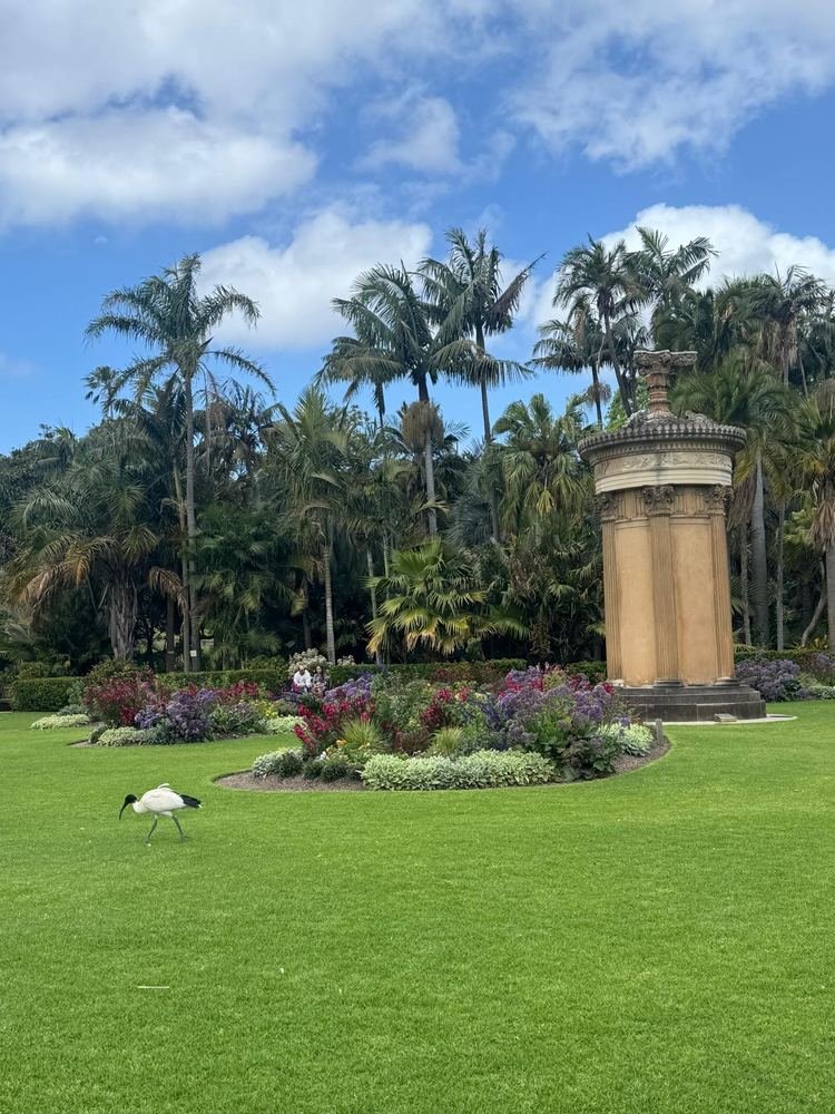 Gramado do Jardim Botânico Real de Sydney, com palmeiras e canteiro de flores